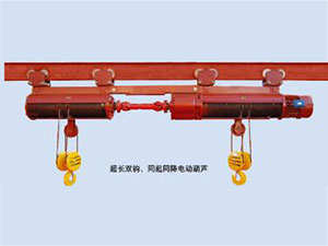 超长双钩同起同降电动葫芦